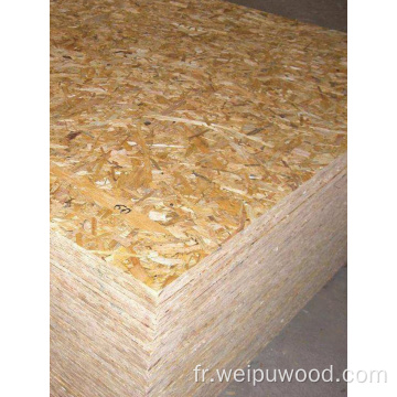 OSB Plywood Board personnalisé en gros